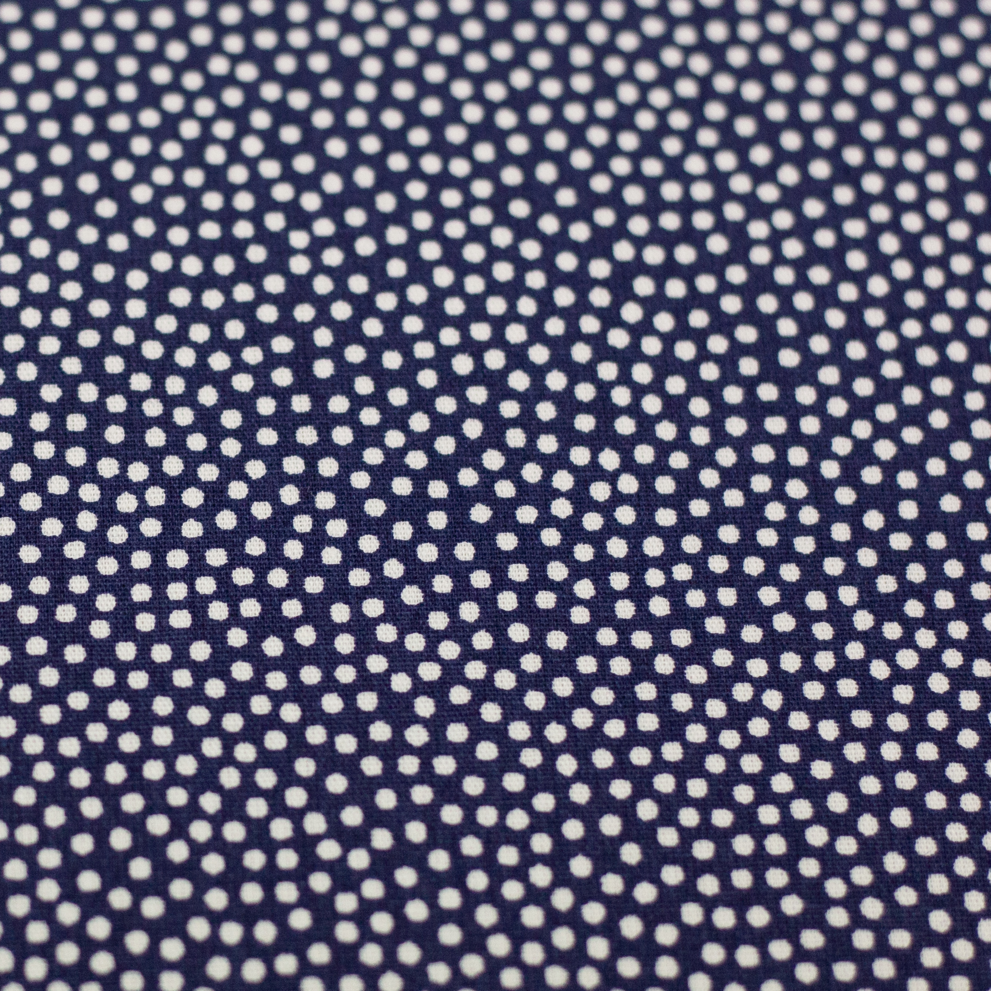 Dotty Dots - blue-white