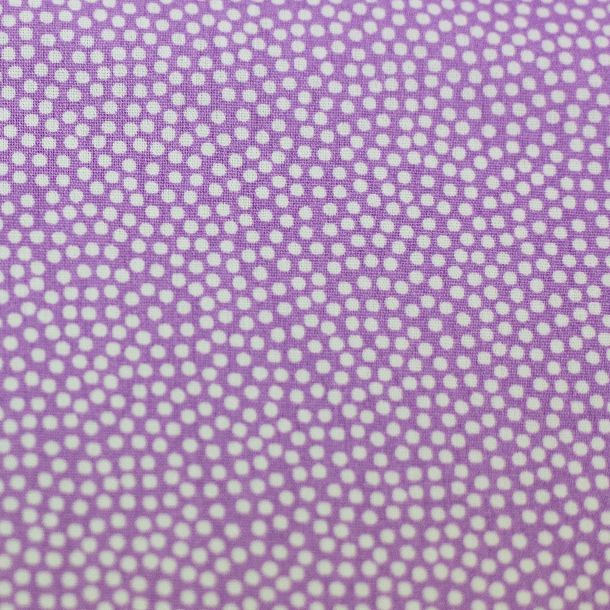 Dotty Dots - lilac