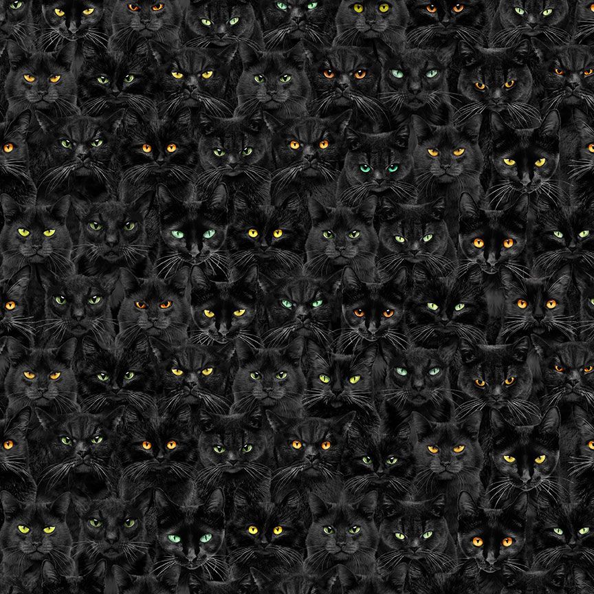 WICKED CATS MAGIC - black