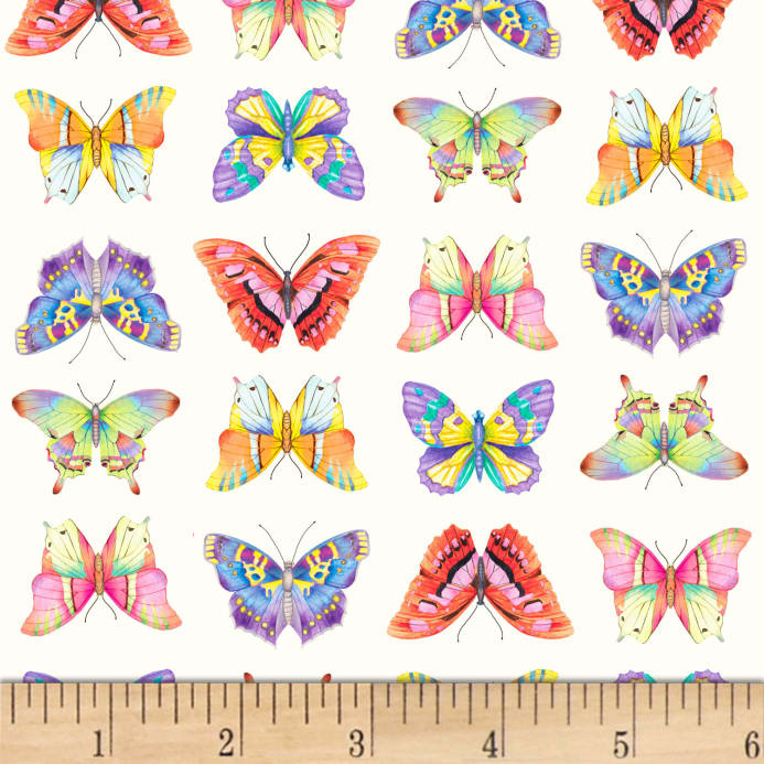 Schmetterlinge - Libellen