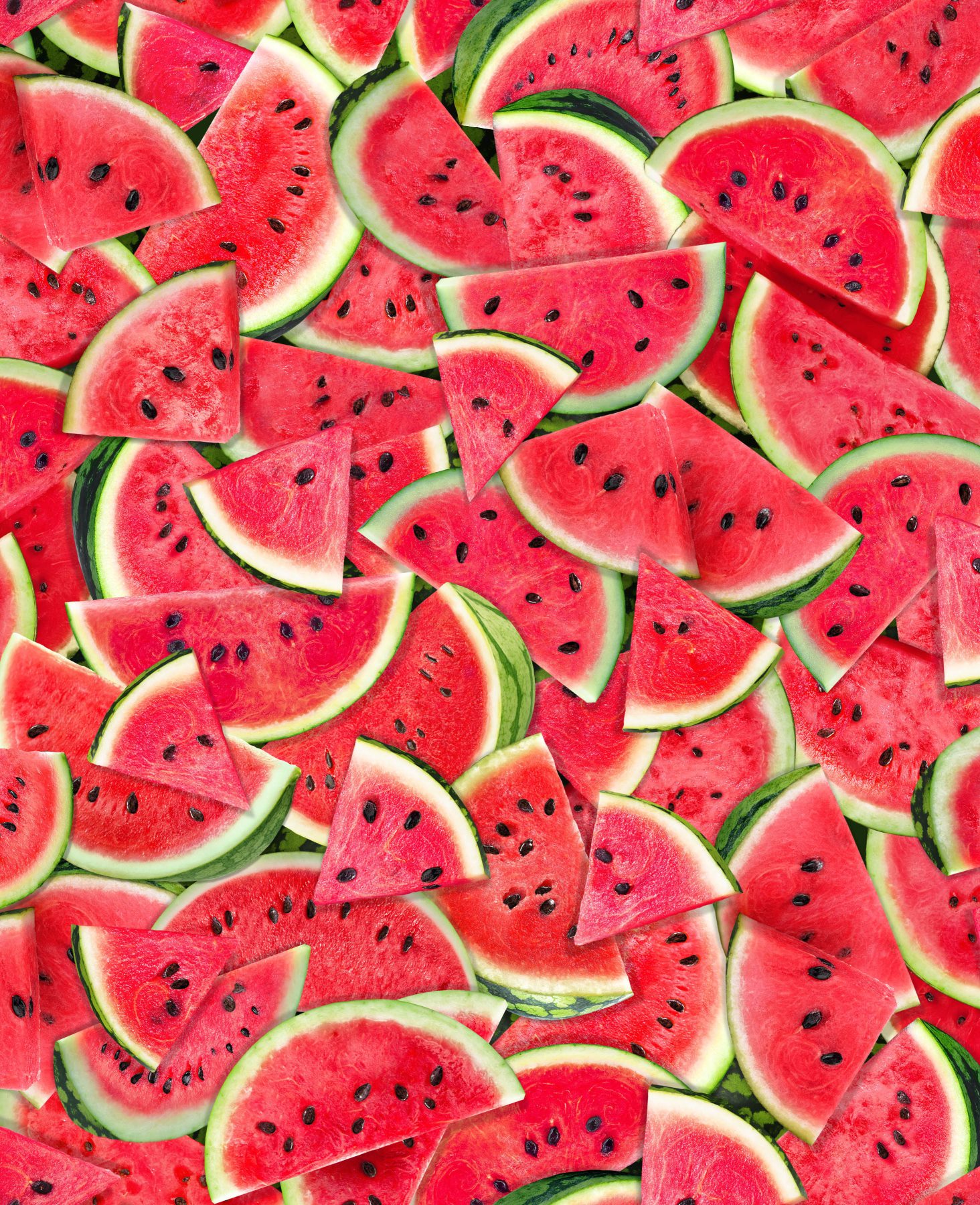 One in a Melon - Packed Watermelon Slices